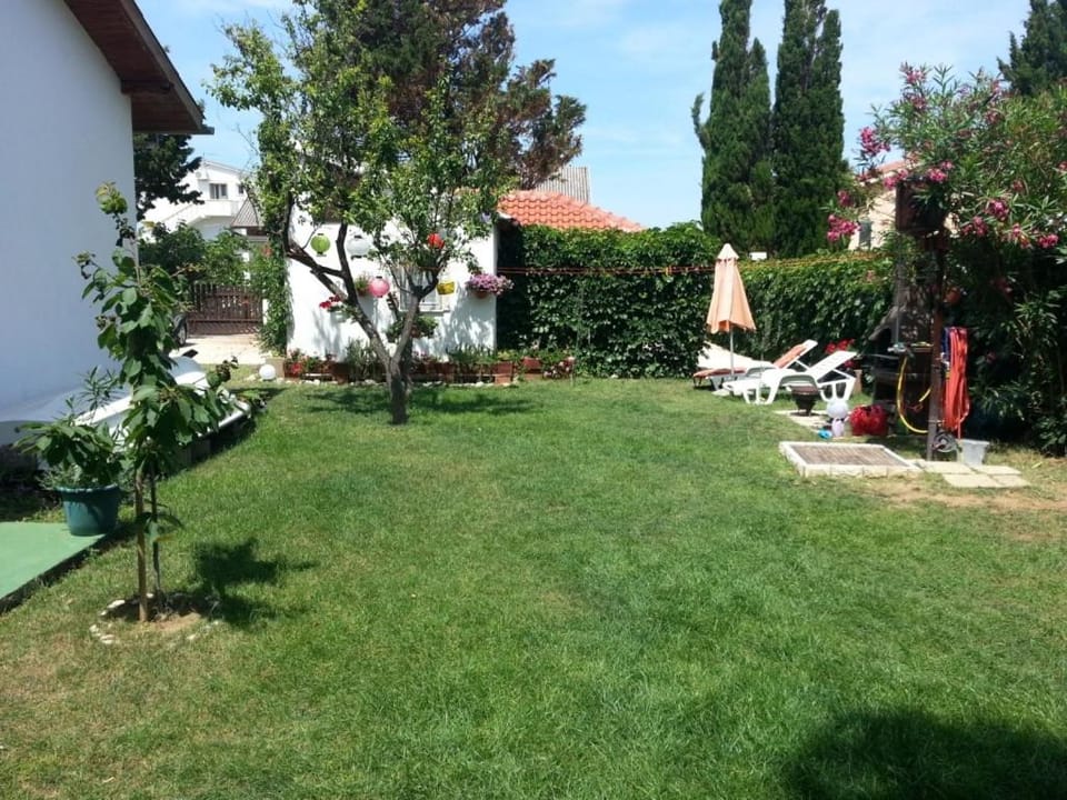 Patio, Garden, Garden view