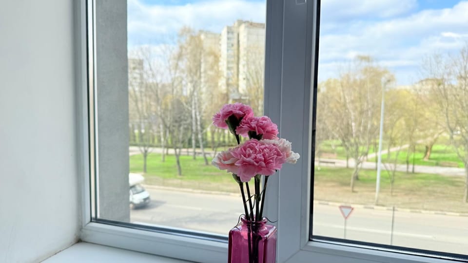 Spring, Day, View (from property/room)
