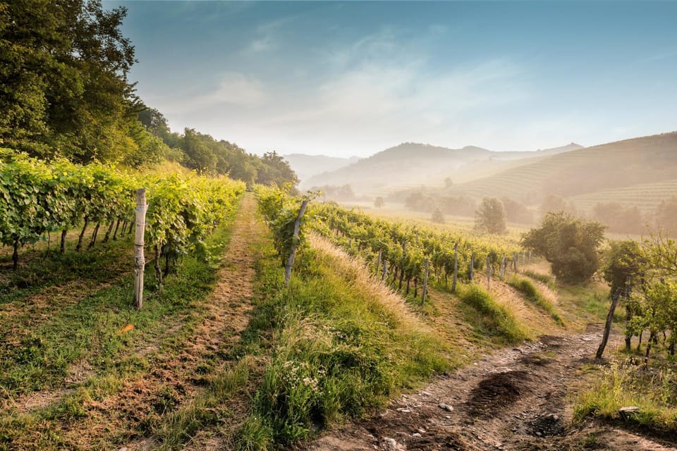 Natural landscape, Summer, Sunrise