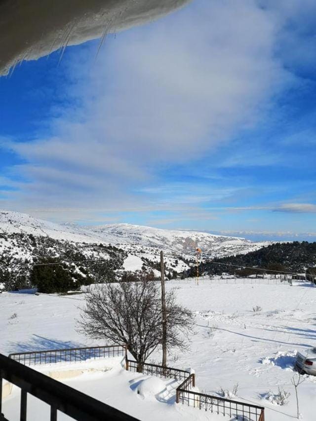 Setta Alonia Hotel in Euboea
