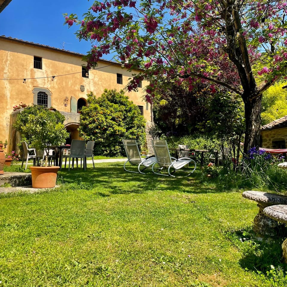 Spring, Day, Natural landscape, Garden, Garden, Garden view