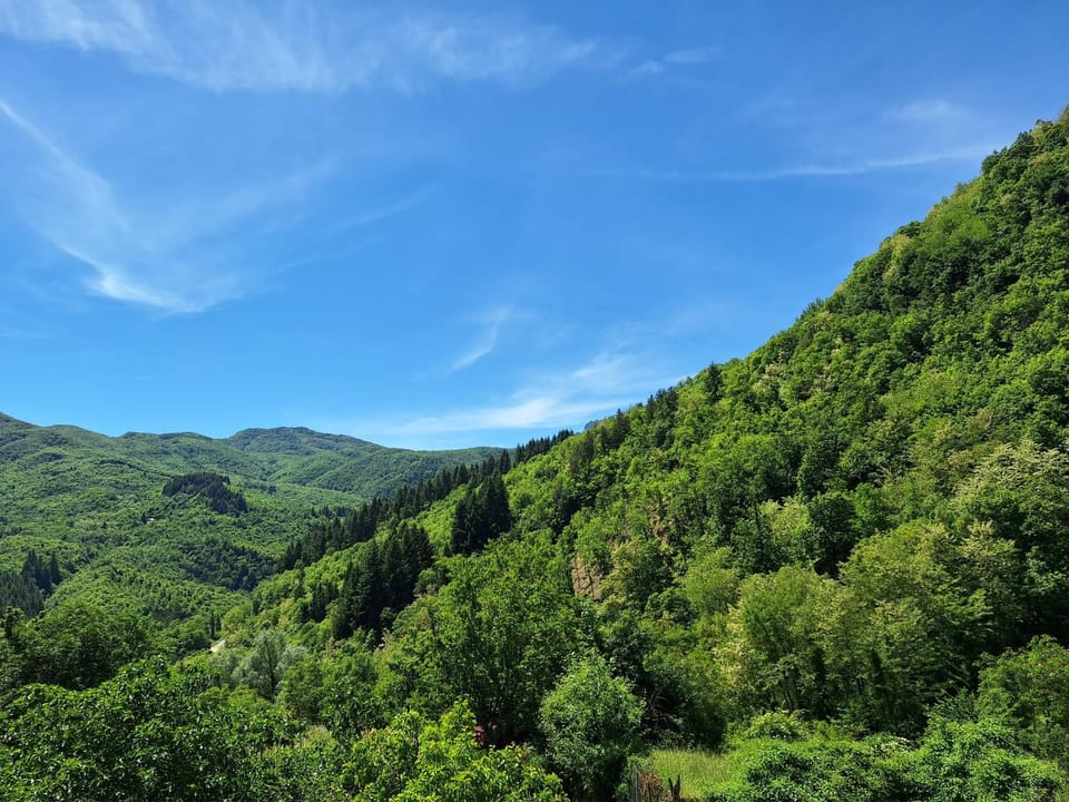 View (from property/room)