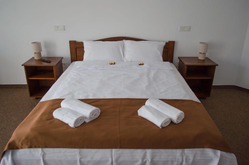 Pensiune Casa Ampeia Bed and Breakfast in Romania