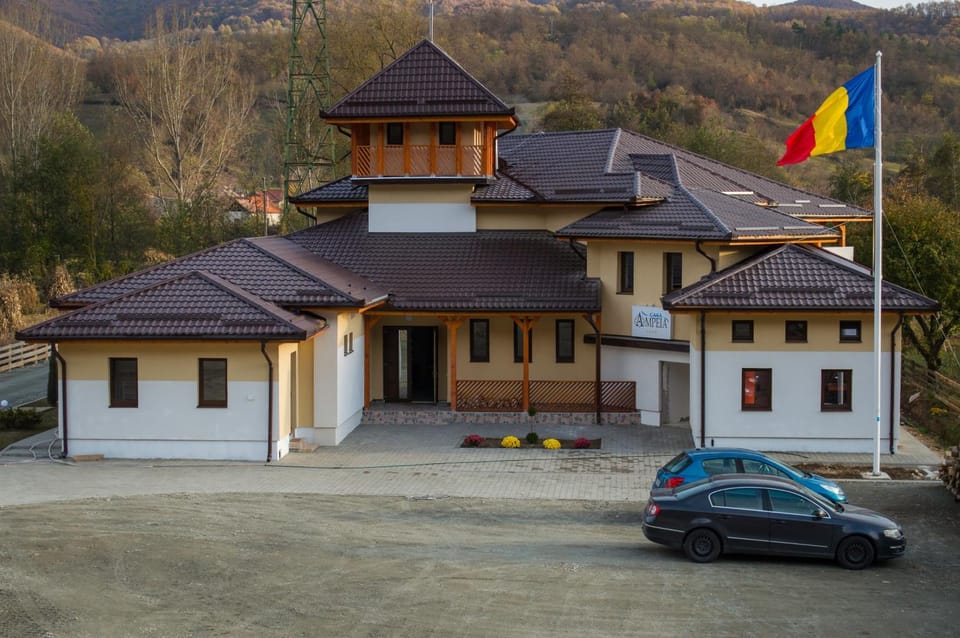 Pensiune Casa Ampeia Bed and Breakfast in Romania