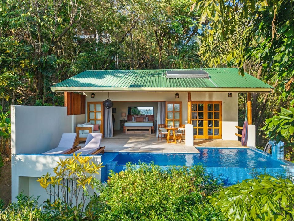 Patio, Day, Garden view, Swimming pool, sunbed