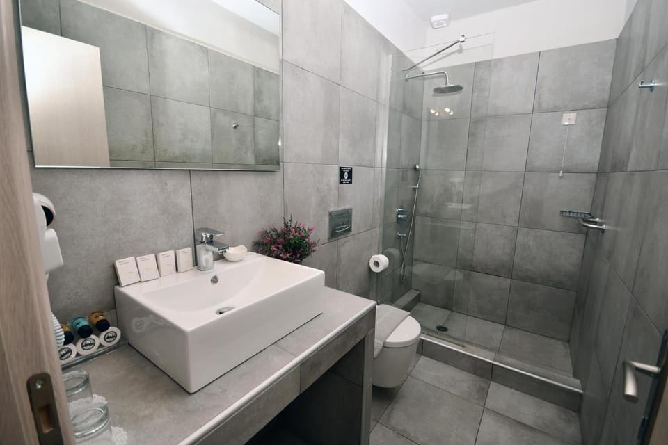 Asterisuites Apartment hotel in Lasithi