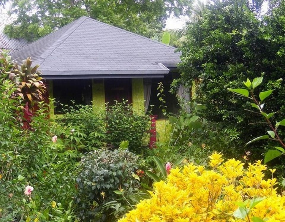 Facade/entrance, Bird's eye view, Garden view