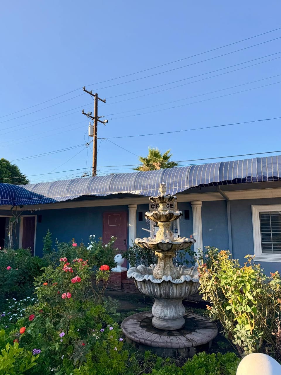 Garden view