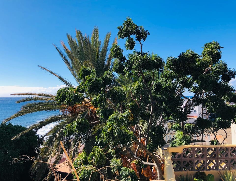 Efigenia playa/mar 1 Apartment in Valle Gran Rey