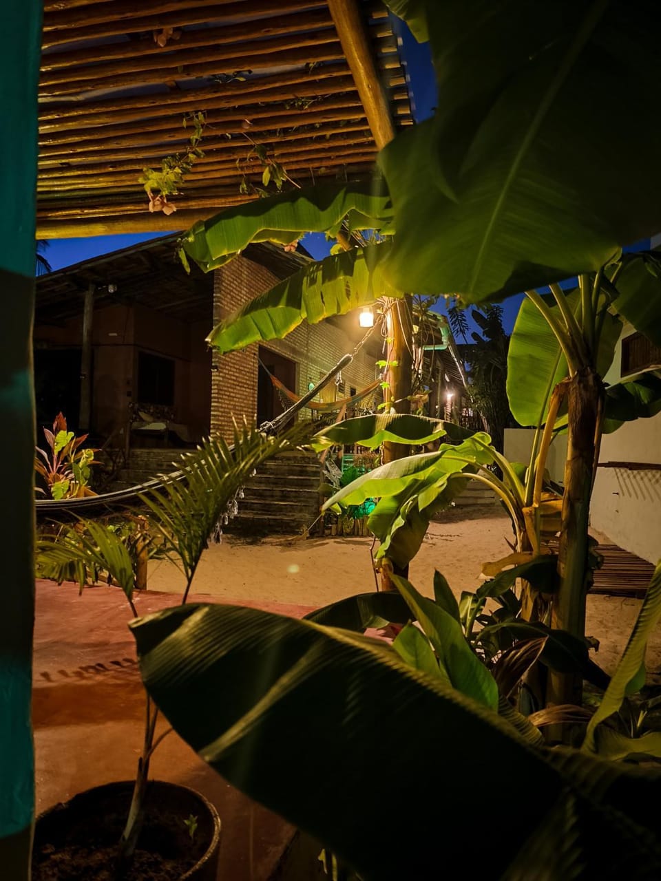 Garden, Garden, Garden view, Garden view