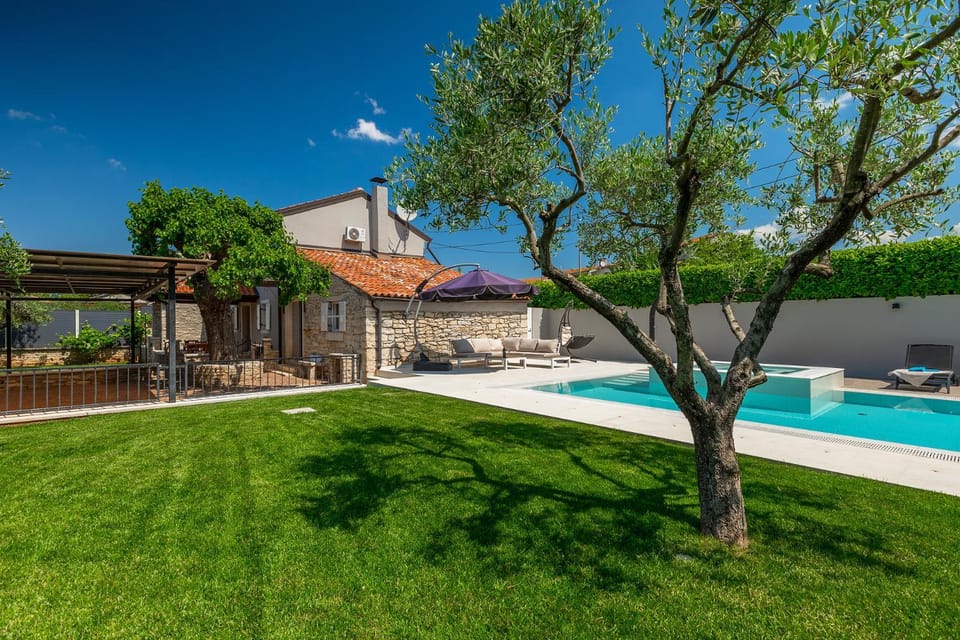 Garden, Seating area, Swimming pool, sunbed