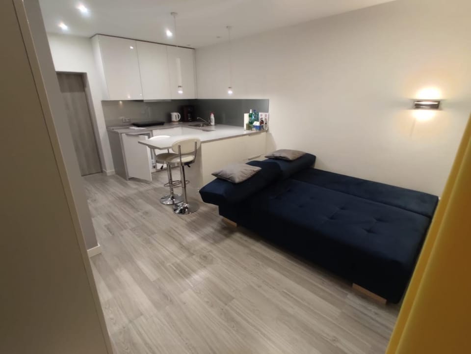 Comfortable Studio only 20 minutes from International Conference Center Katowice best place for WUF2022 EEC TNF OFF etc Apartment in Poland