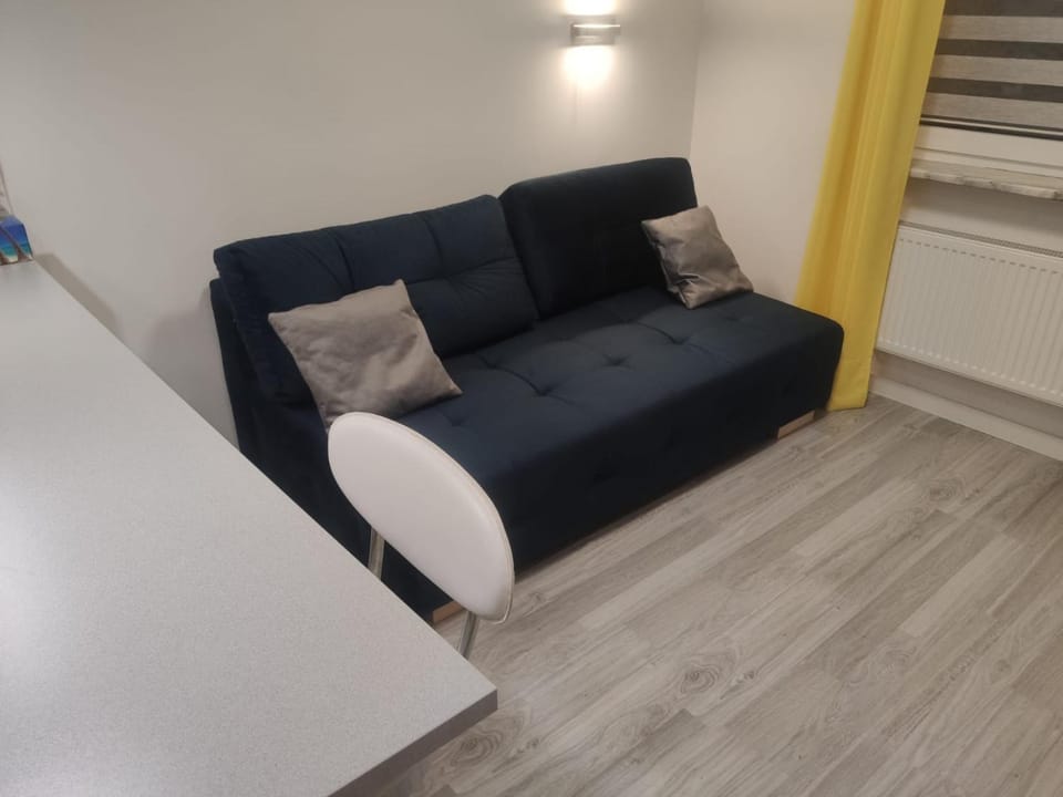 Comfortable Studio only 20 minutes from International Conference Center Katowice best place for WUF2022 EEC TNF OFF etc Apartment in Poland