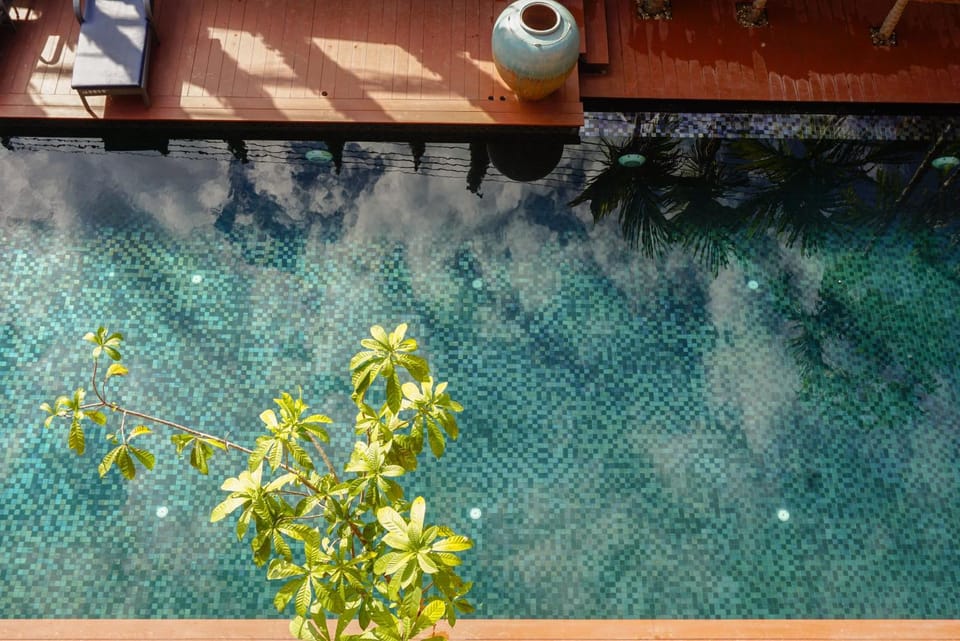 Swimming pool, Swimming pool