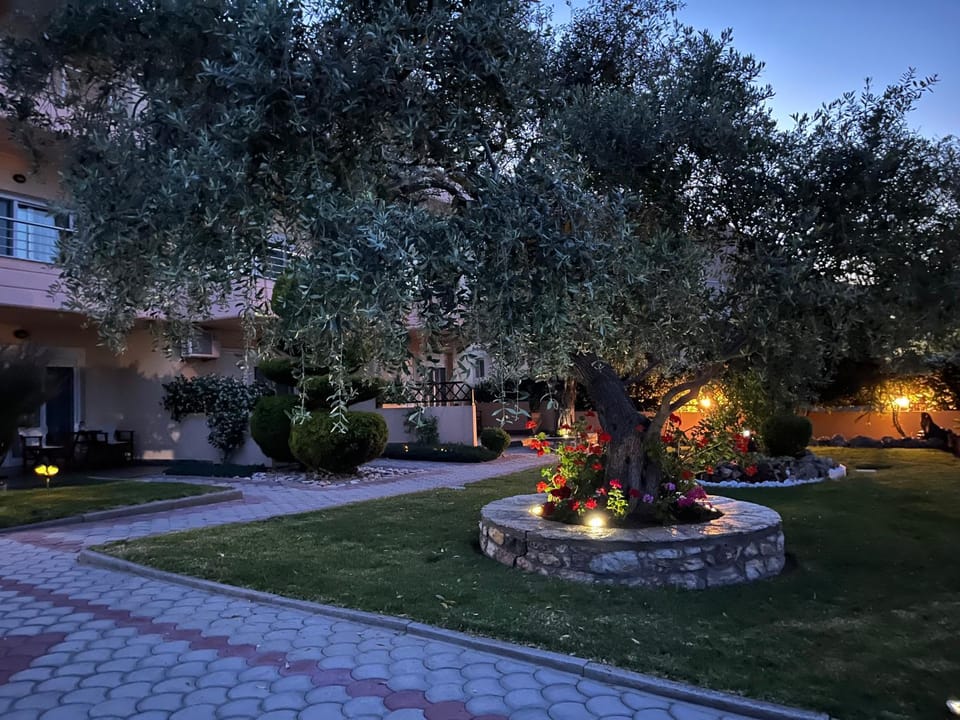 Property building, Night, Garden view