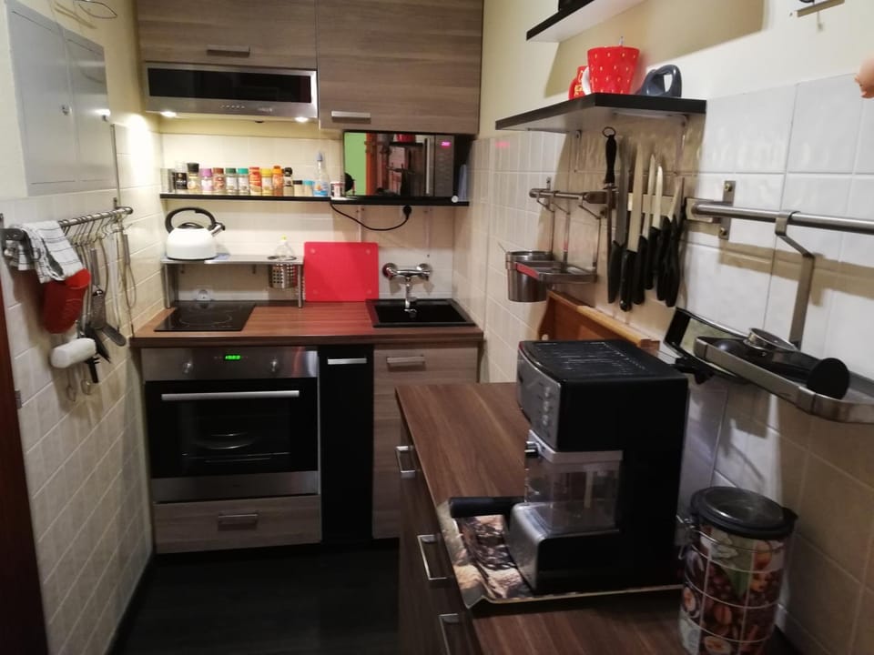 Appartement Schneerose Apartment in Upper Austria