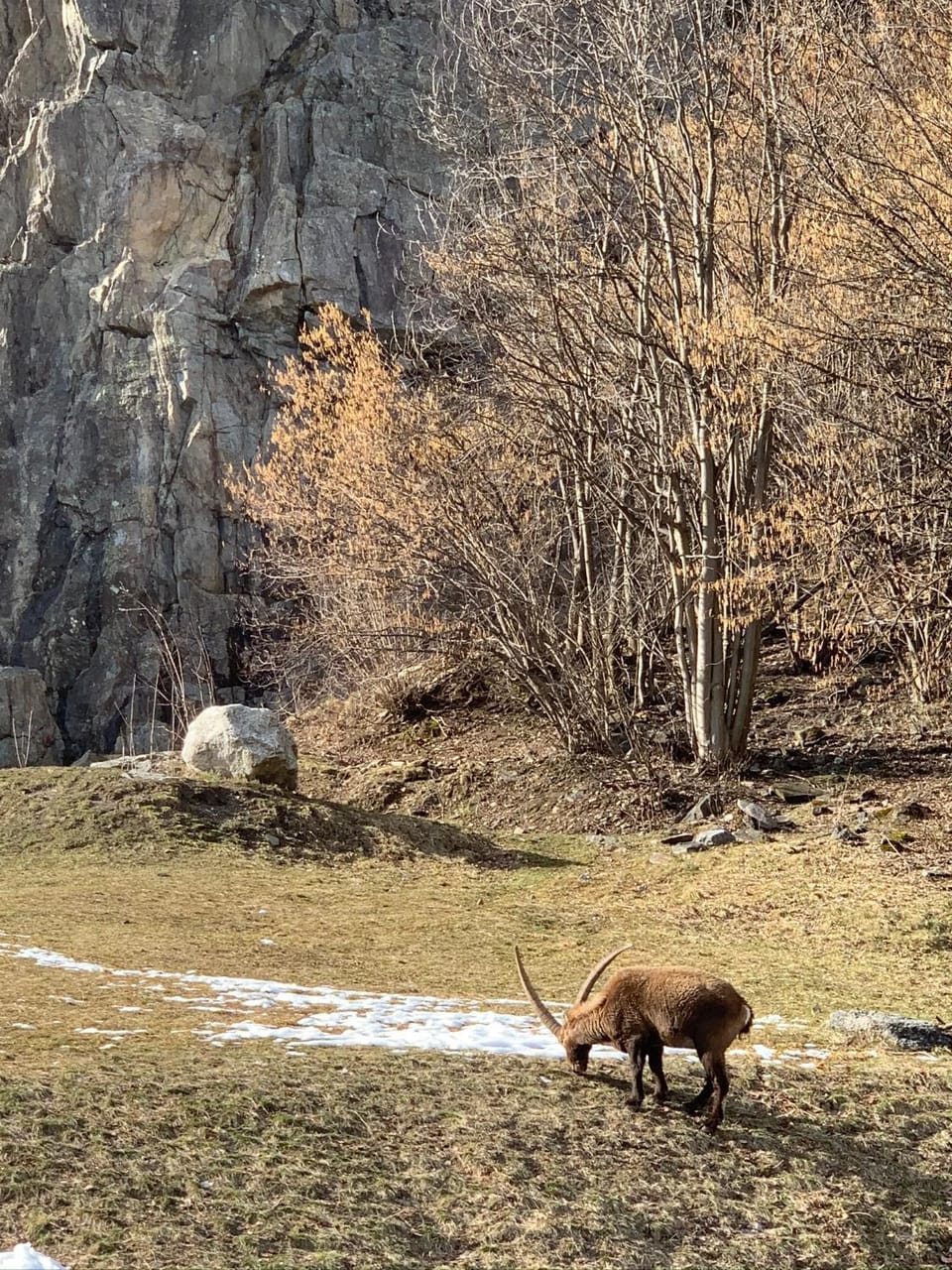 Hotel des Lacs Hotel in Les Houches