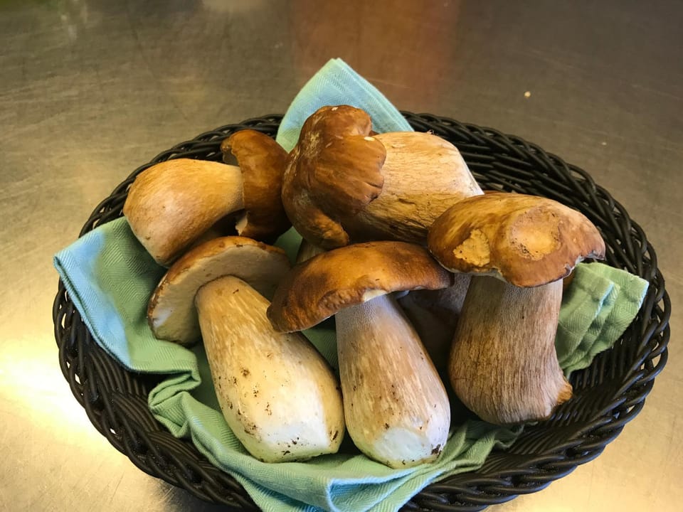 Food and drinks, Food