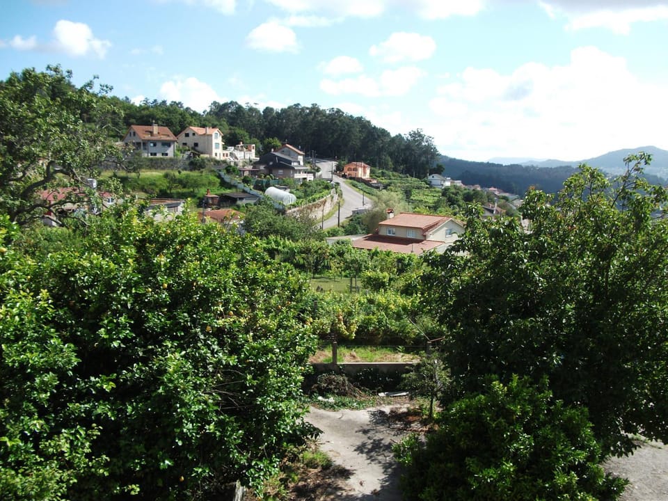 Day, Neighbourhood
