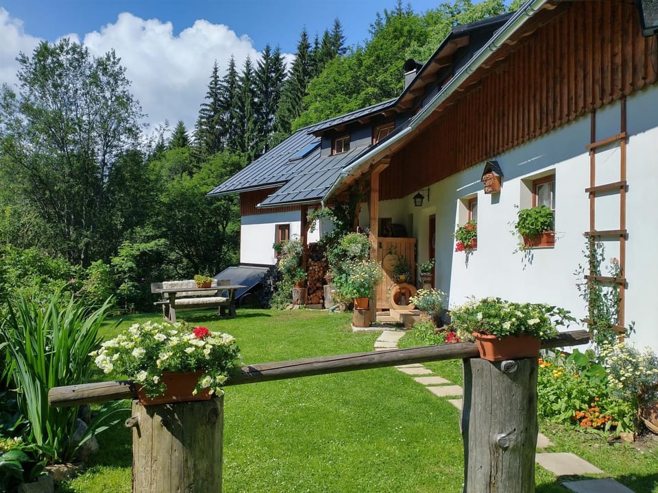 Property building, Garden