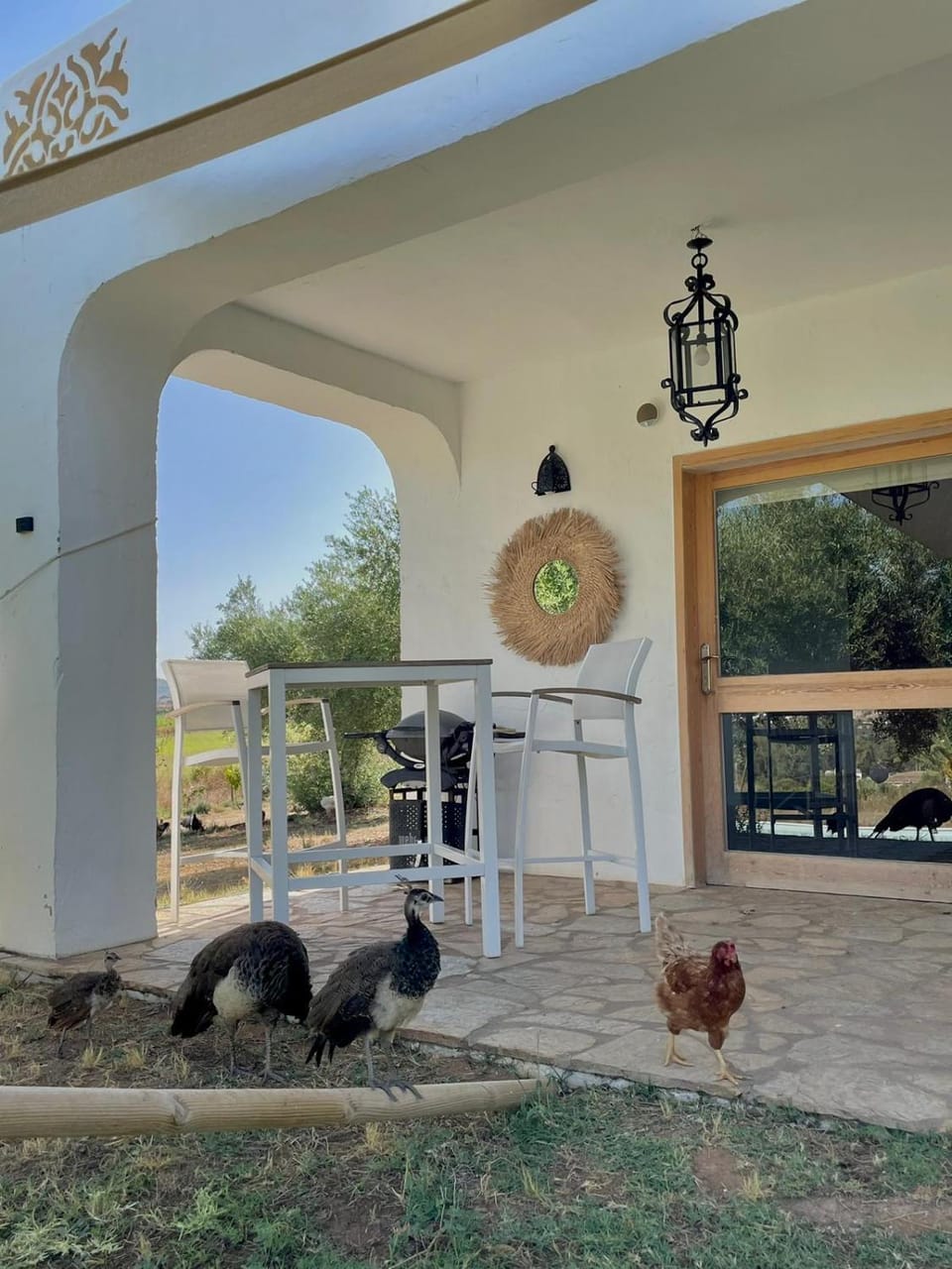 Patio