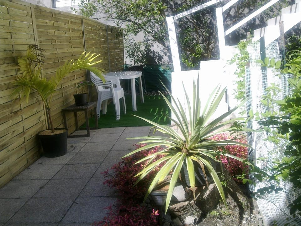 Patio, Area and facilities
