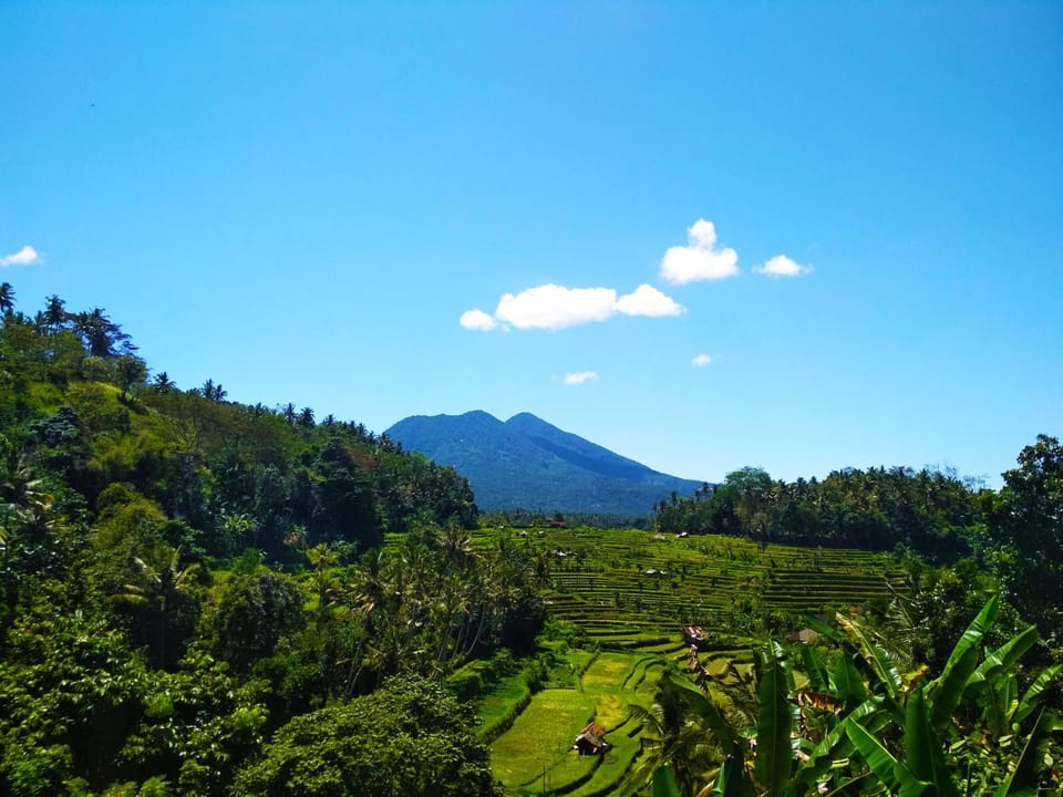 View (from property/room)