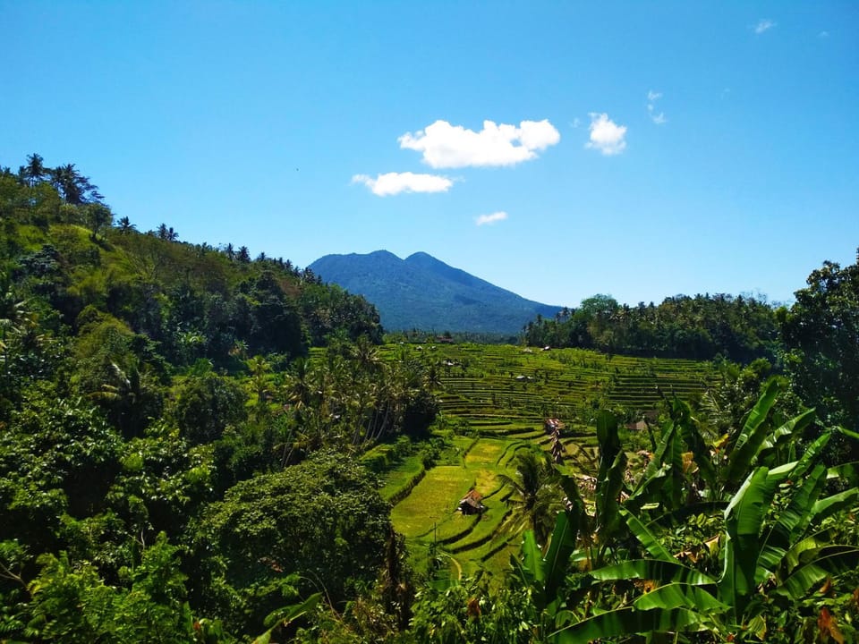 Natural landscape