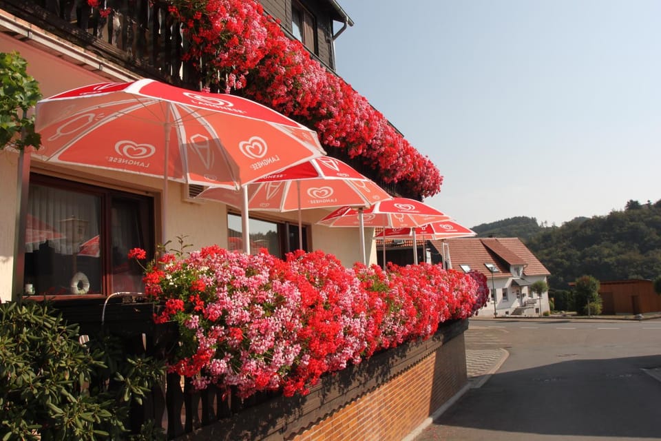 Property building, Day, Summer