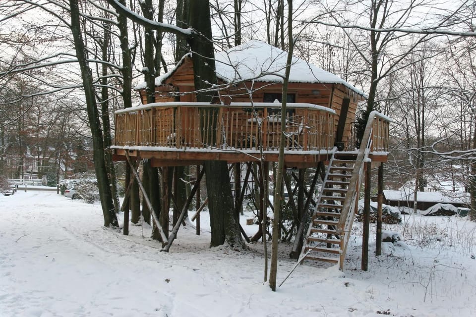 B&B La Cabane du Bois Dormant Bed and Breakfast in Wallonia, Belgium