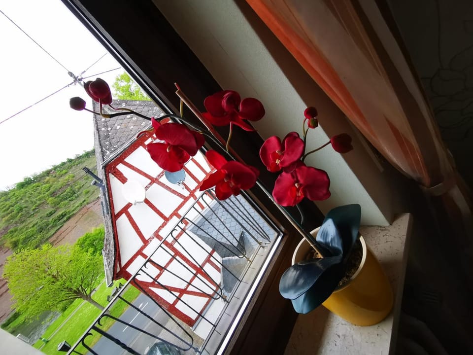 Gästehaus Andrea Blatt Bed and Breakfast in Cochem-Zell