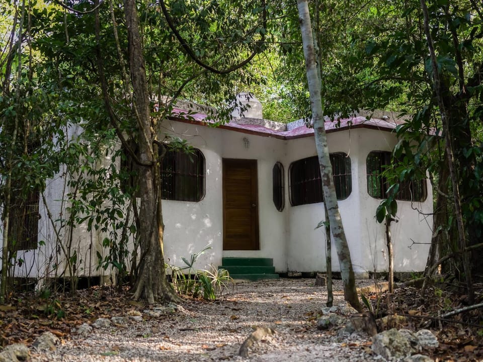 Property building, Garden view