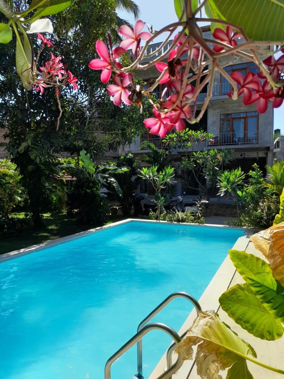 View (from property/room), Pool view, Swimming pool, Swimming pool