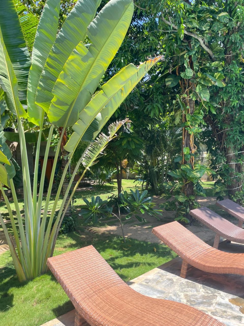 Garden view
