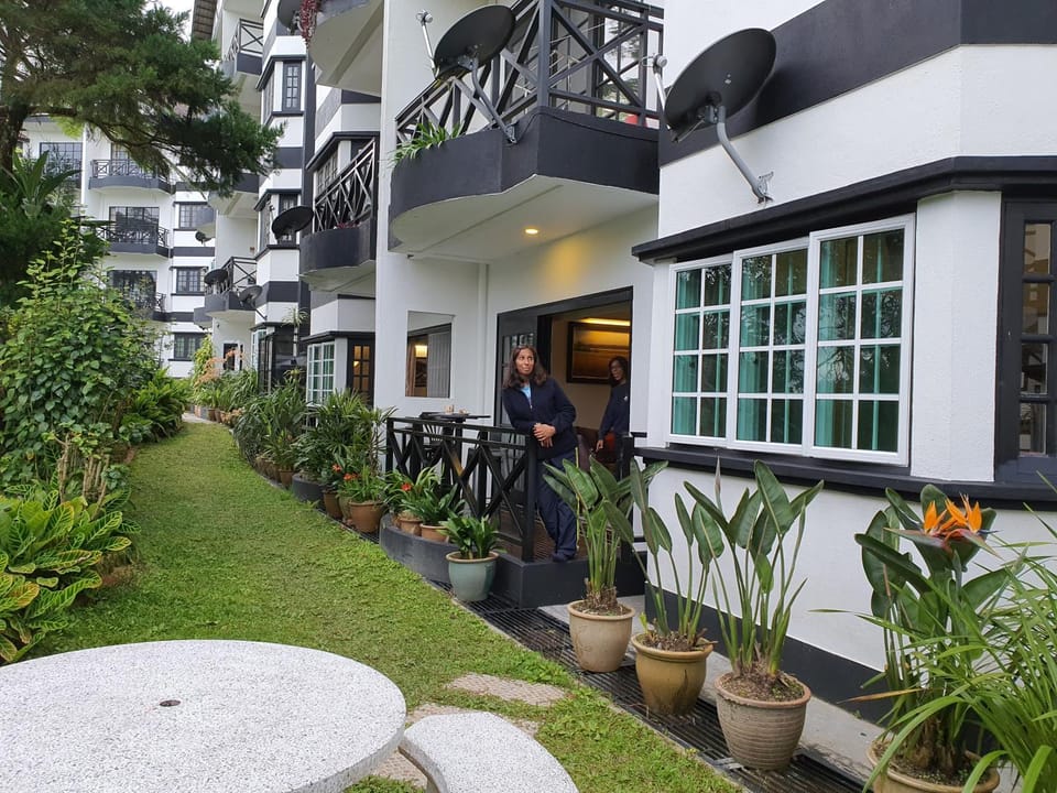 Patio, Garden