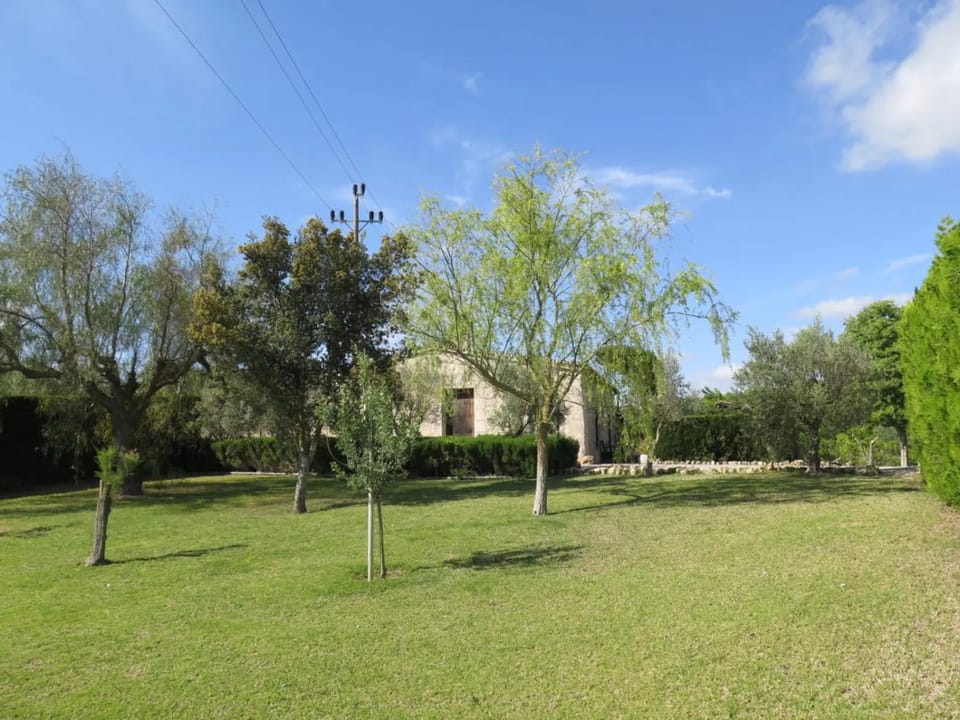 Natural landscape, Garden, Garden view