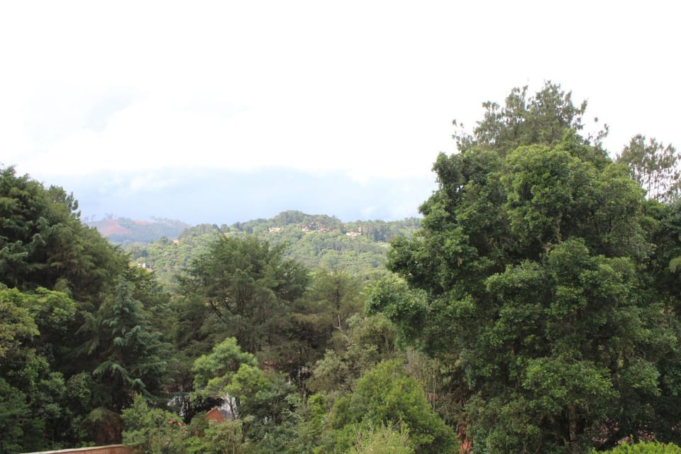Natural landscape