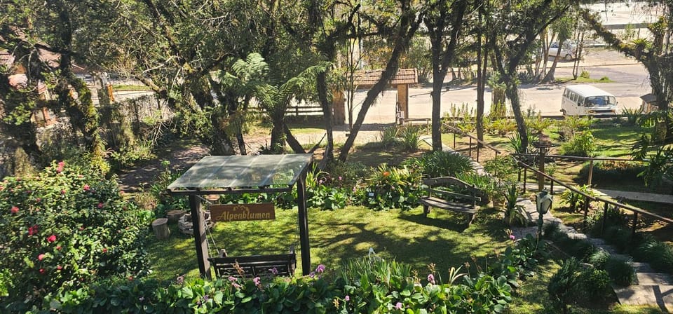 Garden, Garden view, Garden view
