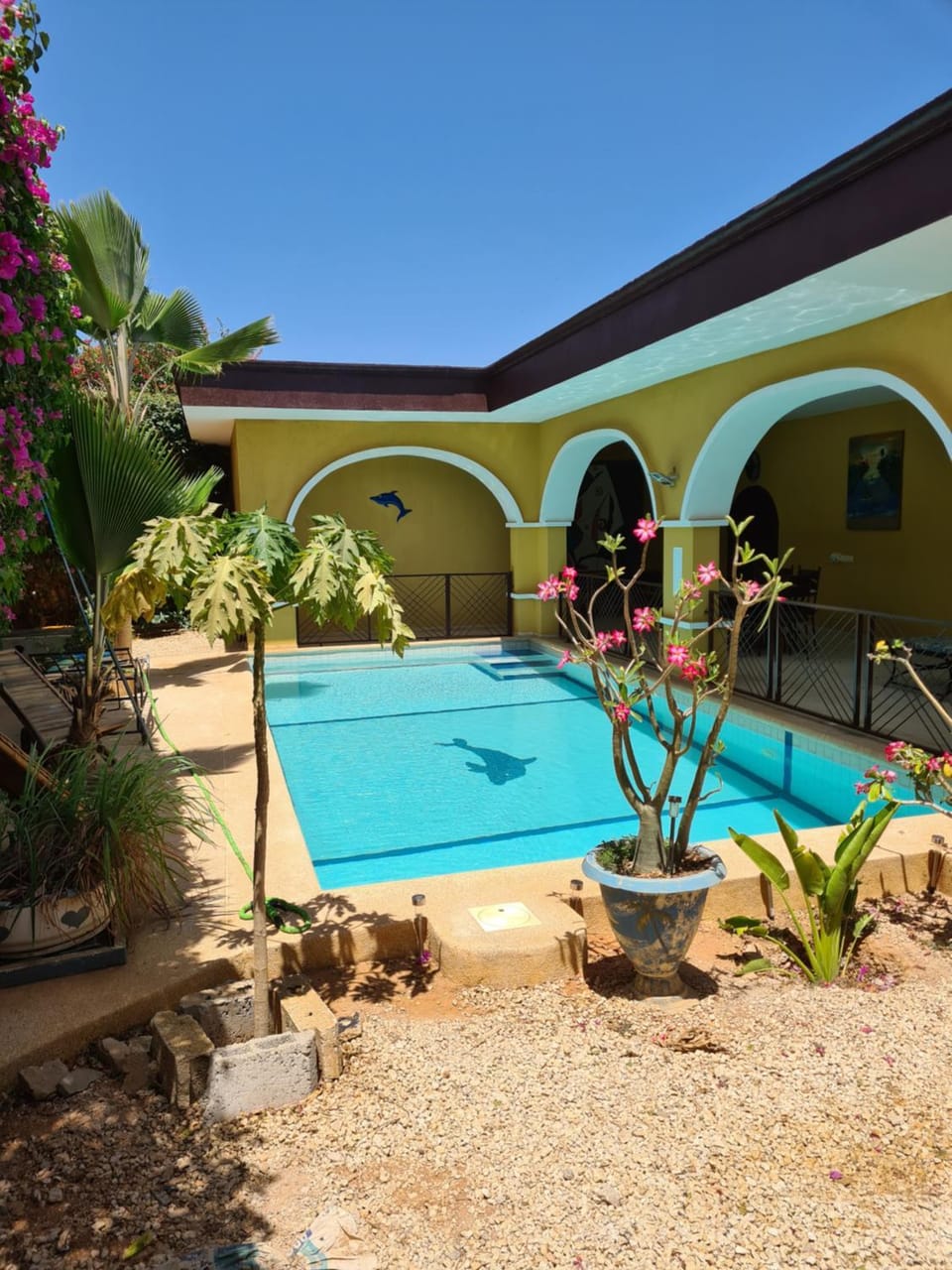 Swimming pool