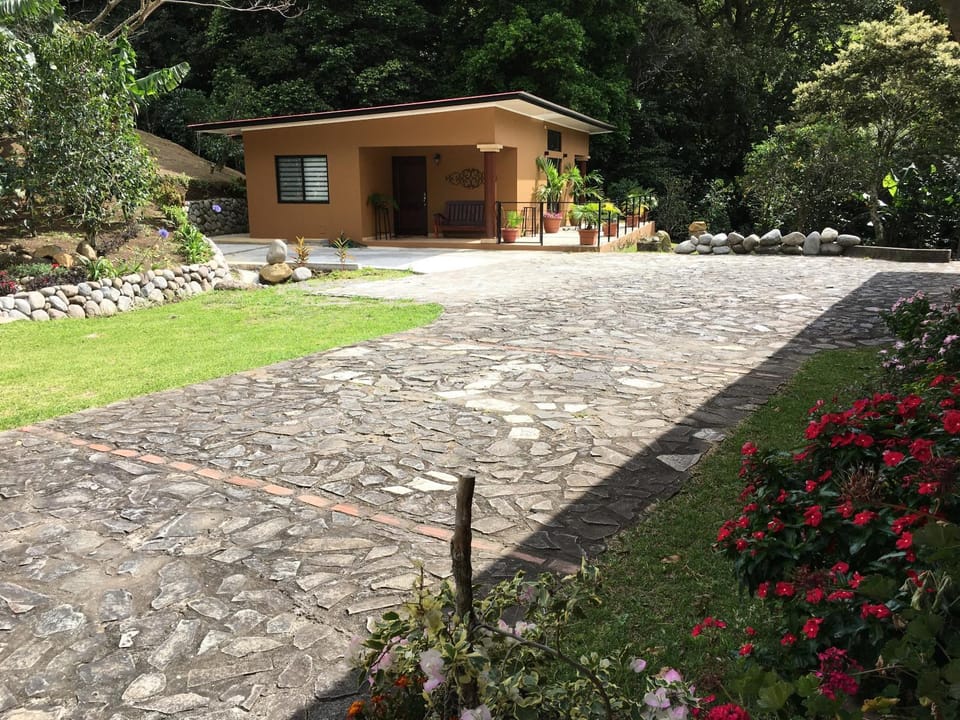 Natural landscape, Garden