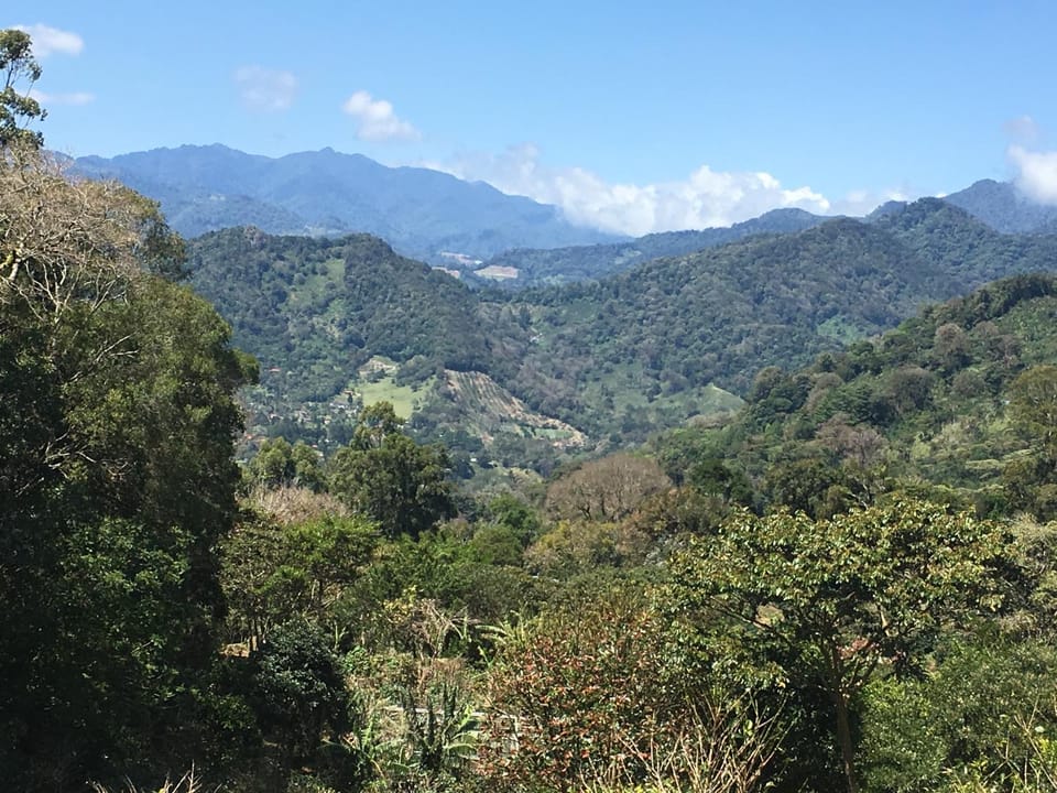 City view, Mountain view