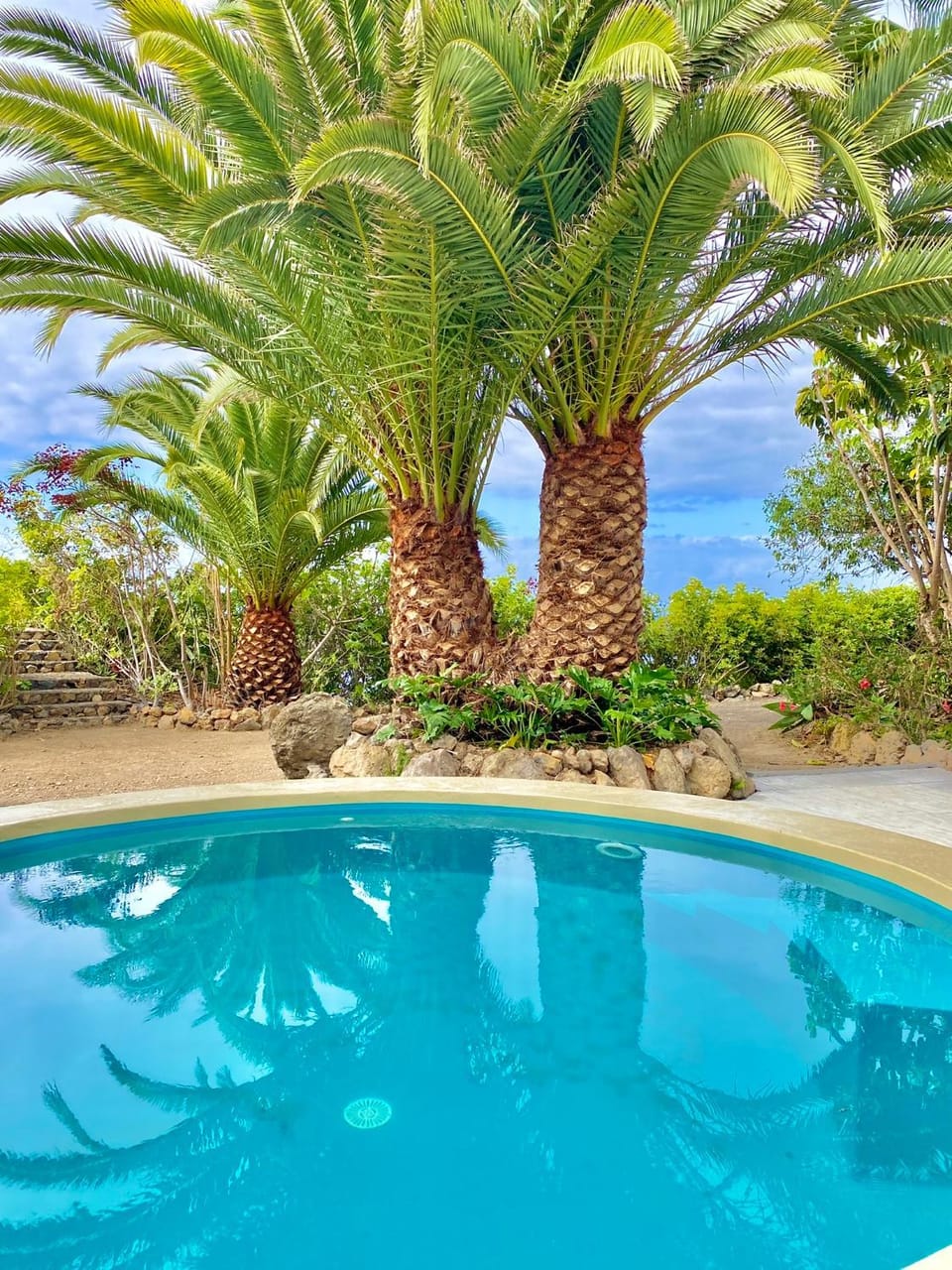 Natural landscape, Garden, Garden view, Pool view, Swimming pool, Swimming pool