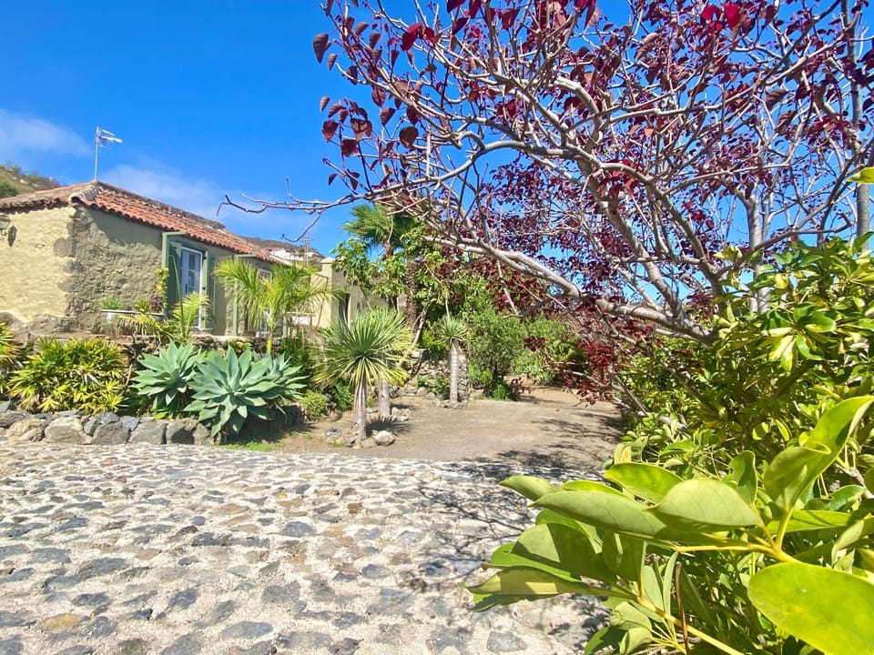 Property building, Garden, Garden, Garden view