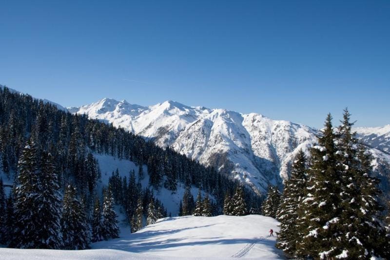Day, Natural landscape