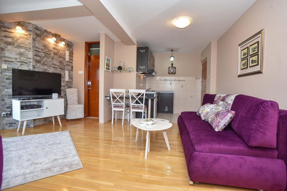 Seaview Paradise Apartment Apartment in Budva