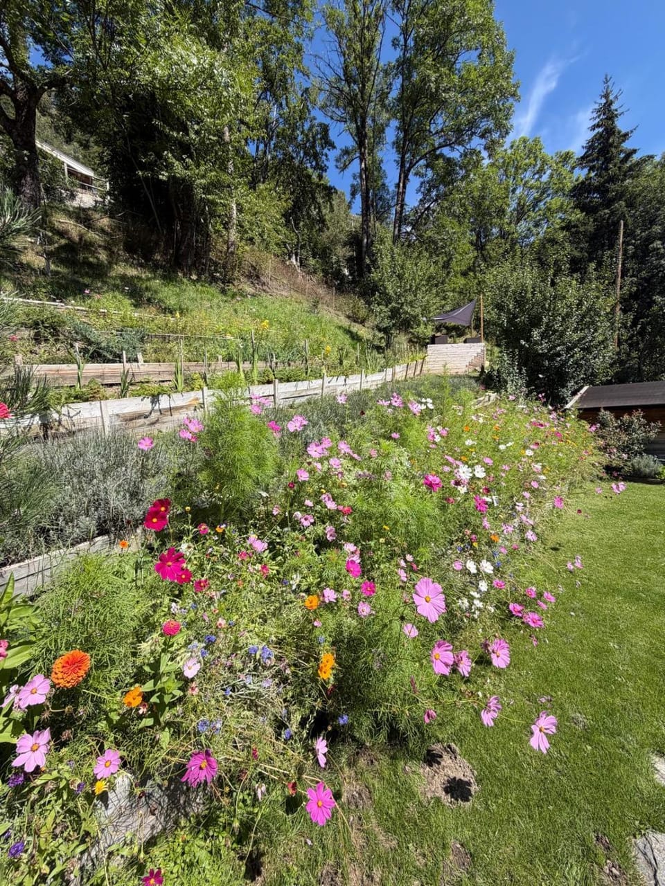 La Ferme d'Angele Bed and Breakfast in Bourg-Saint-Maurice