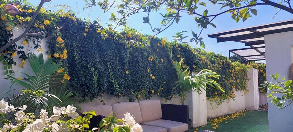 Spring, Garden, Garden view