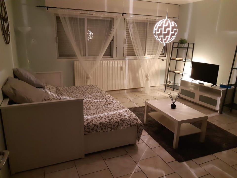 6 Rue de Vieilleville Apartment in Metz