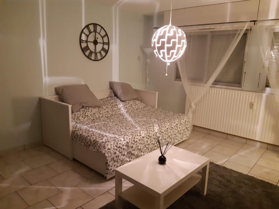 6 Rue de Vieilleville Apartment in Metz