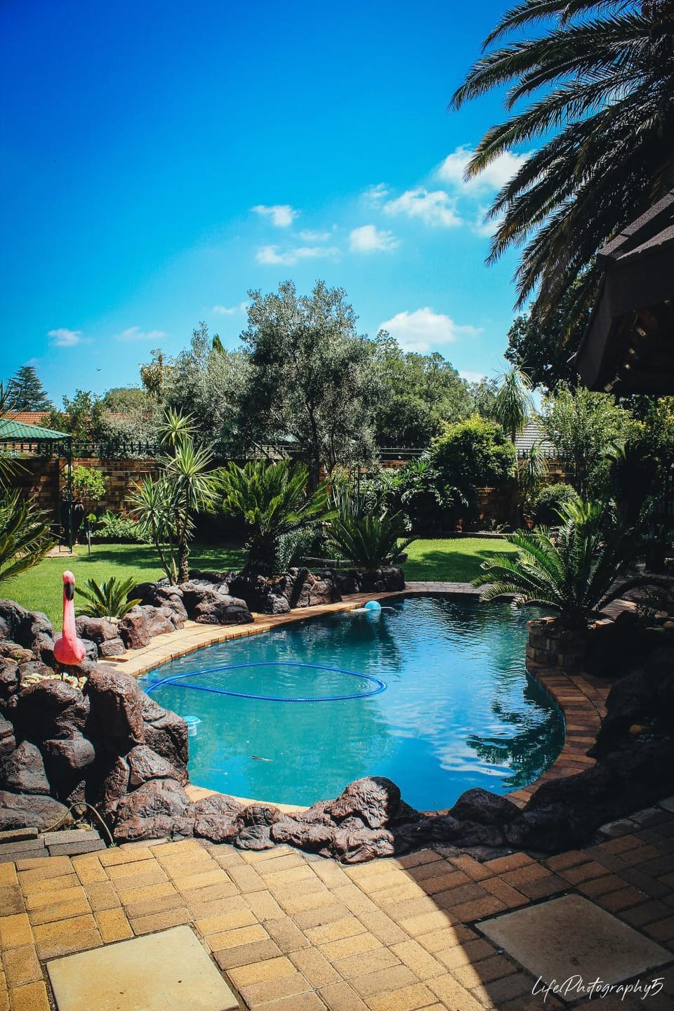 African Elephant's Den Bed and Breakfast in North West, South Africa